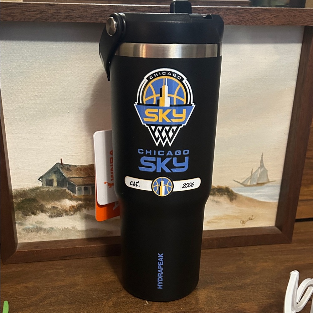 NWT Hydrapeak Chicago Sky insulated beverage container